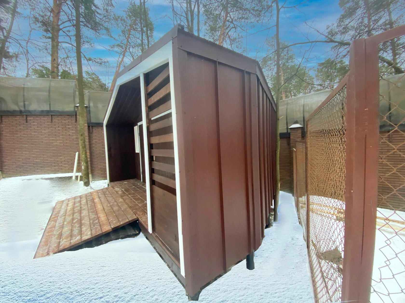 Миниатюра 5